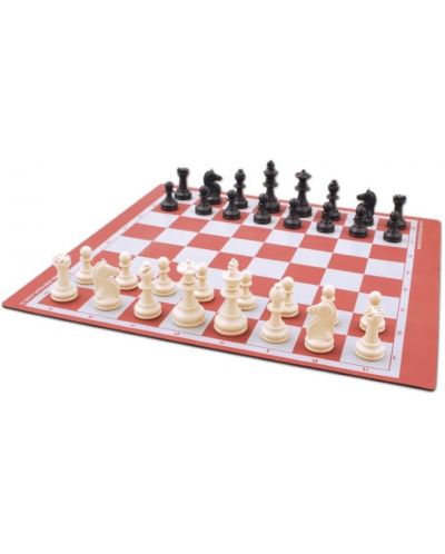 Комплект шах Star School, в тубус  - 2